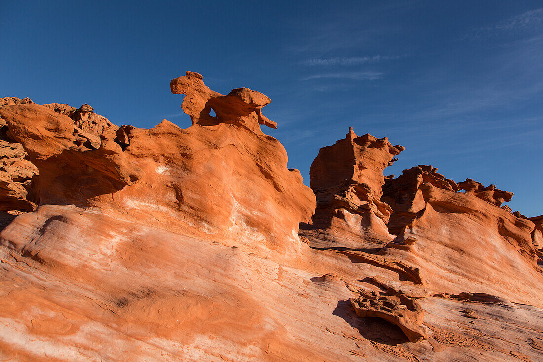 Fragile eroded Aztec sandstone formations in Little Finland, Gold Butte National Monument, Nevada.