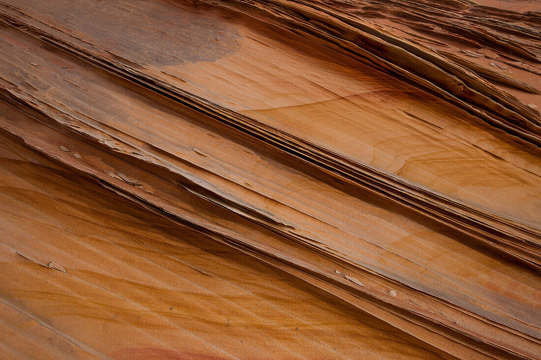 Very thin, fragile sandstone fins in Navajo sandstone formations. South Coyote Buttes, Vermilion Cliffs National Monument, Arizona. Geologically, these fins are called compaction bands.