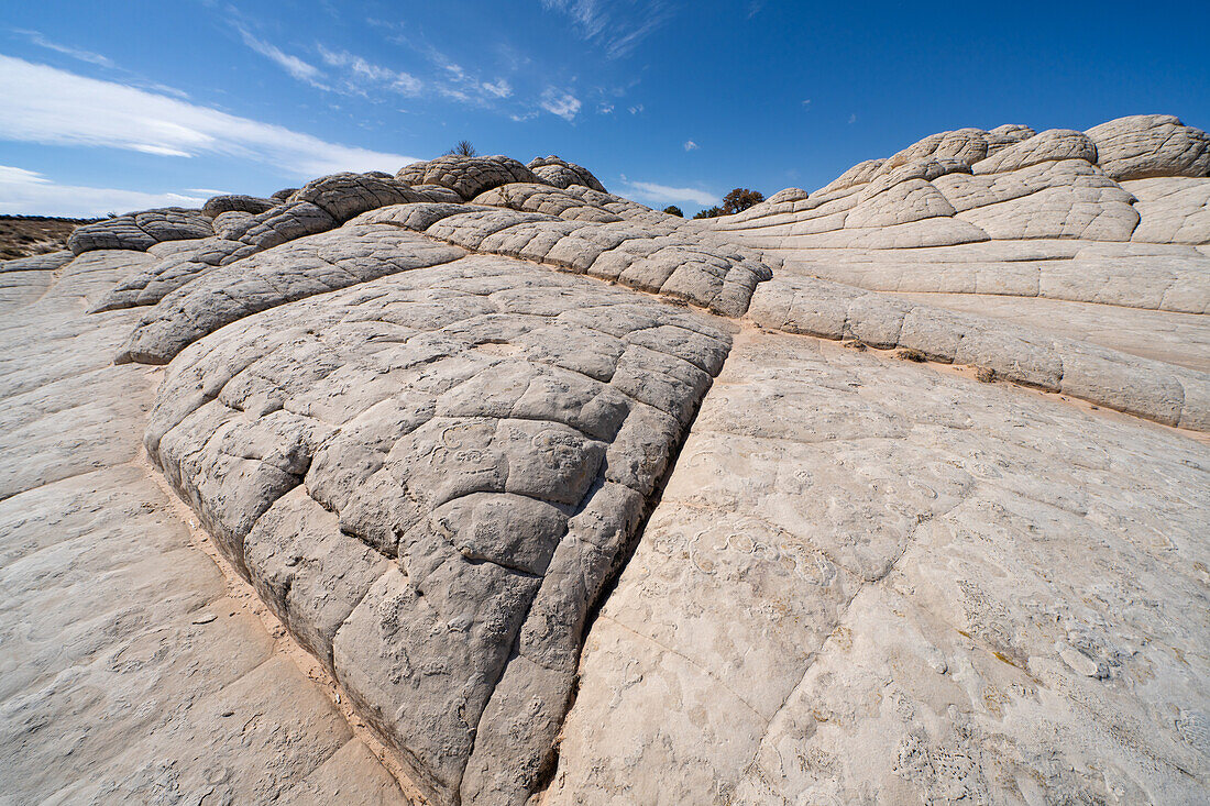 White pillow rock or brain rock sandstone in the White Pocket Recreation Area, Vermilion Cliffs National Monument, Arizona. A form of Navajo sandstone.