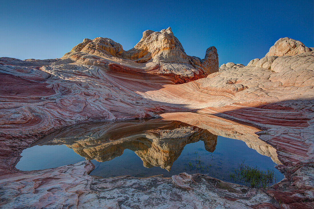 Die Zitadelle spiegelt sich in einem flüchtigen Wasserbecken in der White Pocket Recreation Area, Vermilion Cliffs National Monument, Arizona