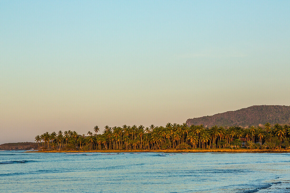 Coconut palm trees line the shore at Bahia de Las Galeras on the Samana Peninsula, Dominican Republic.