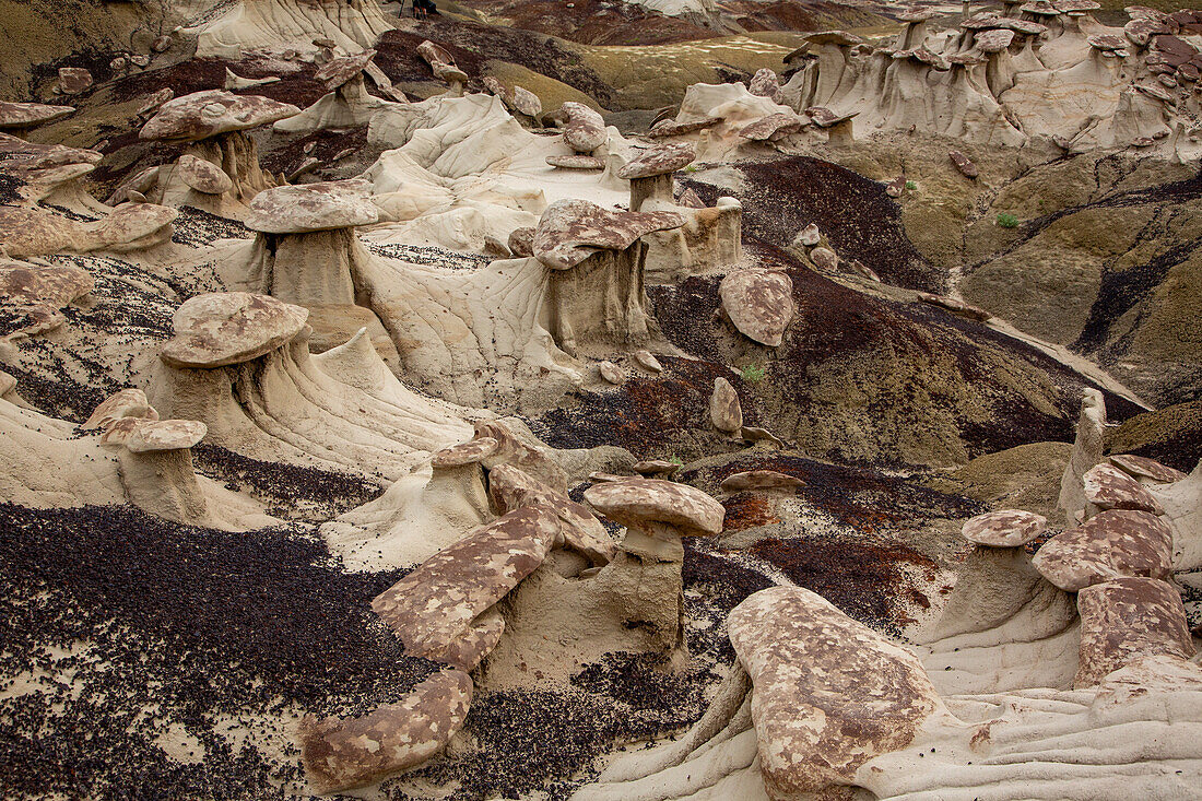 Bizarre landscape of eroded clay hills in the badlands of the San Juan Basin in New Mexico.