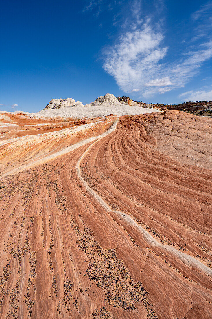 Eroded Navajo sandstone formations in the White Pocket Recreation Area, Vermilion Cliffs National Monument, Arizona.