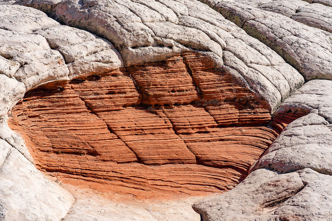Das Drachenauge im erodierten weißen Pillow Rock oder Brain Rock Sandstein in der White Pocket, Vermilion Cliffs National Monument, Arizona. Sowohl der rote als auch der weiße Sandstein sind Navajo-Sandstein, aber der rote enthält mehr Eisenoxid