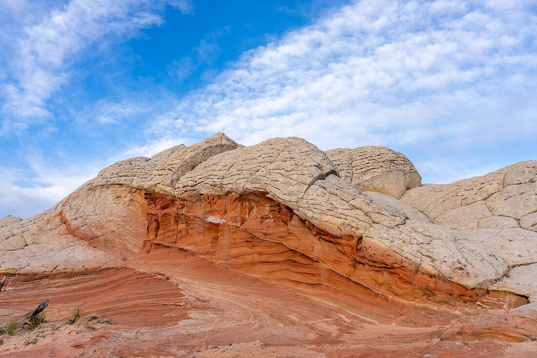 Eroded white pillow rock or brain rock sandstone in the White Pocket Recreation Area, Vermilion Cliffs National Monument, Arizona. Both the red and white are Navajo sandstone but the red has more iron oxide in it.