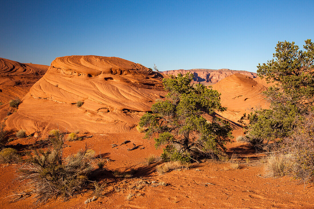 Cross-bedding patterns in the eroded sandstone in Mystery Valley in the Monument Valley Navajo Tribal Park in Arizona.