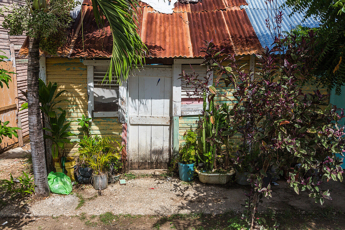 A small, traditional wooden slab house with a rusty corrugated metal roof in the rural Dominican Republic.