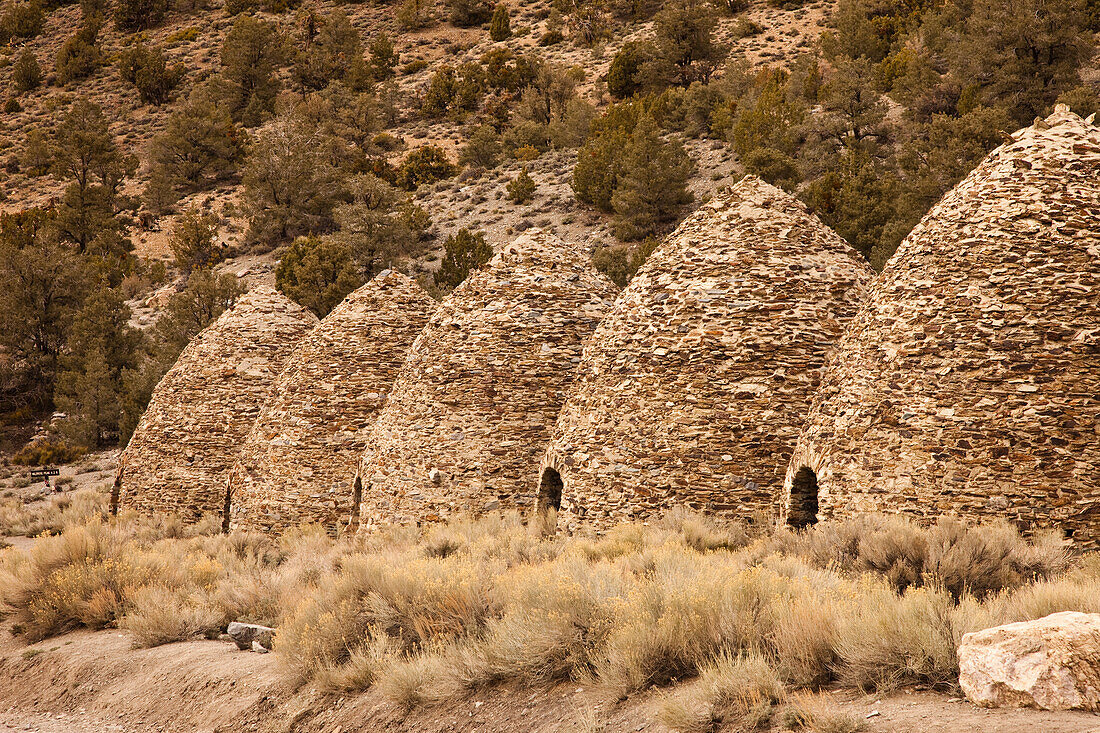 Die Wildrose-Kohleöfen wurden 1877 von einer Bergbaugesellschaft gebaut, um Brennstoff für die nahe gelegenen Blei- und Silberminen zu liefern. Death Valley National Park, Kalifornien