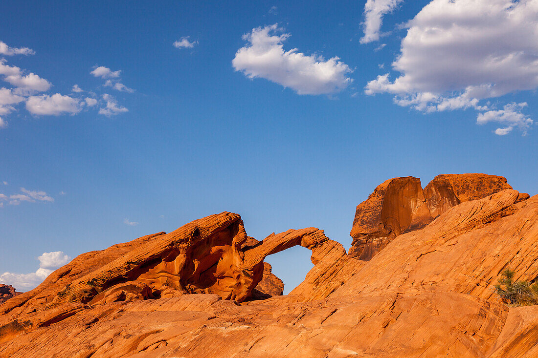 Arch Rock, ein natürlicher Bogen im erodierten Azteken-Sandstein im Valley of Fire State Park in Nevada