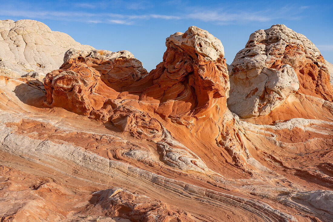 Eroded white pillow rock or brain rock sandstone in the White Pocket Recreation Area, Vermilion Cliffs National Monument, Arizona. Both the red and white are Navajo sandstone but the red has more iron oxide in it.