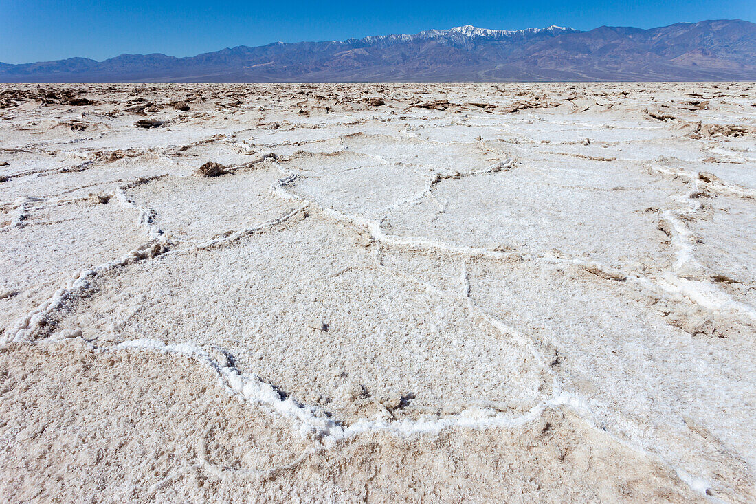 Salt polygons in Badwater Basin in the Mojave Desert in Death Valley National Park, California.