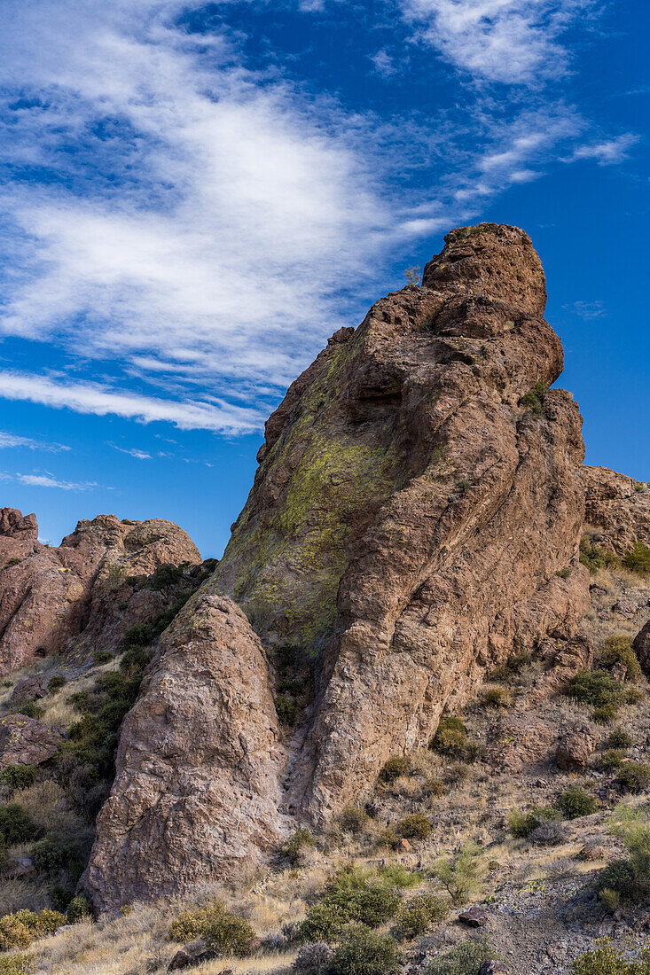The Green Boulder in the Lost Dutchman State Park, Apache Junction, Arizona.