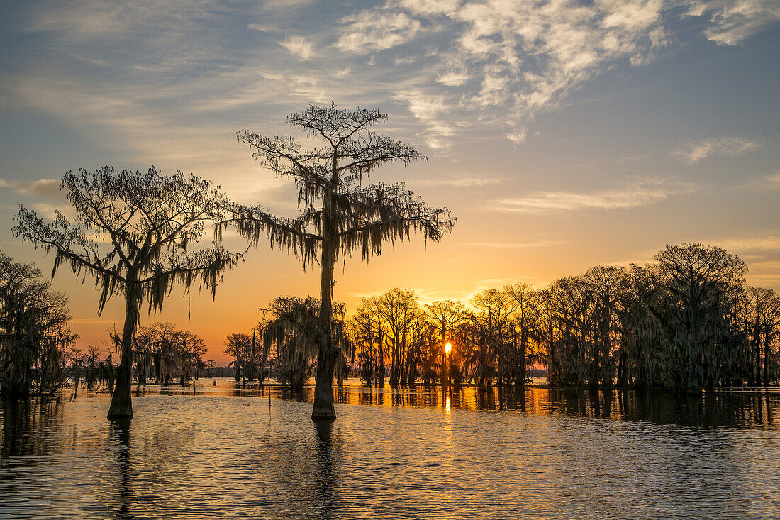 Farbenfroher Himmel bei Sonnenaufgang über Sumpfzypressen in einem See im Atchafalaya-Becken in Louisiana