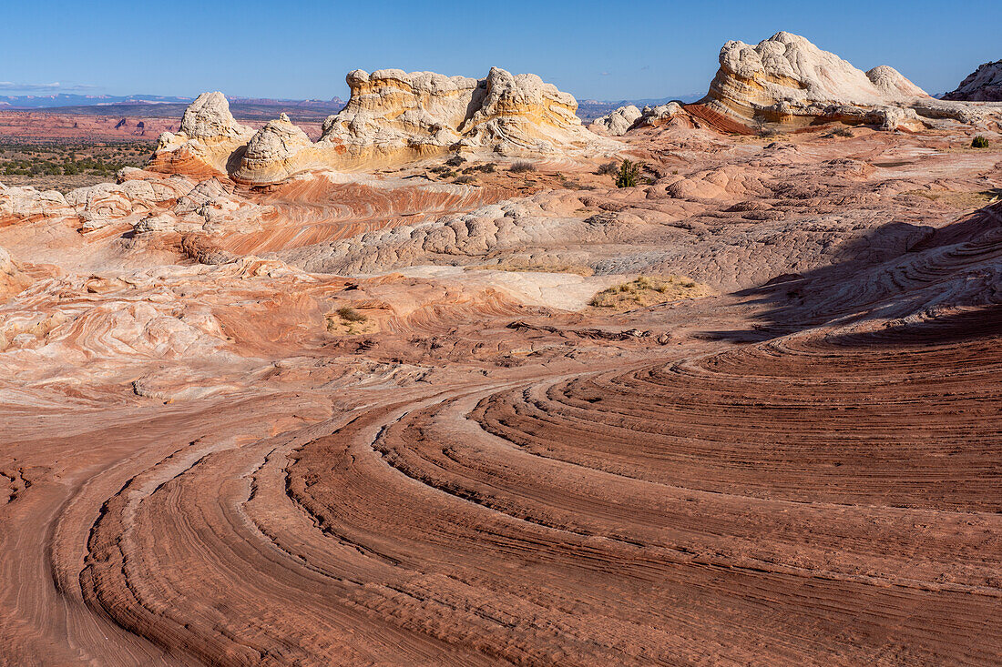 Eroded white pillow rock or brain rock sandstone in the White Pocket Recreation Area, Vermilion Cliffs National Monument, Arizona. Both the red and white are Navajo sandstone but the red has more iron oxide in it.