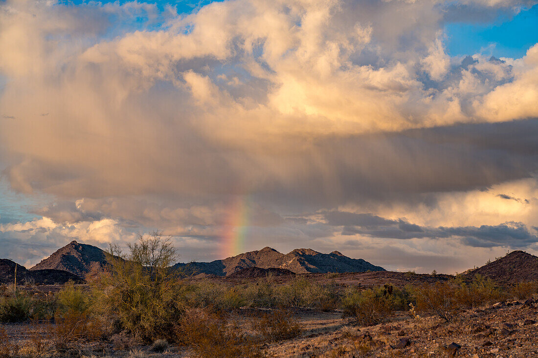 Virga und ein Regenbogen über den Plomosa Mountains bei Sonnenuntergang in der Sonoran-Wüste bei Quartzsite, Arizona