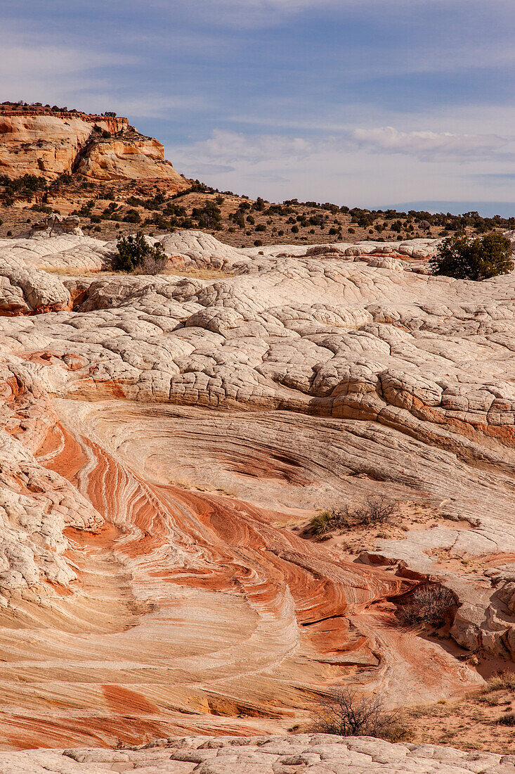 Eroded white pillow rock or brain rock sandstone in the White Pocket Recreation Area, Vermilion Cliffs National Monument, Arizona. Both the red and white are Navajo sandstone but the red contains more iron oxide.