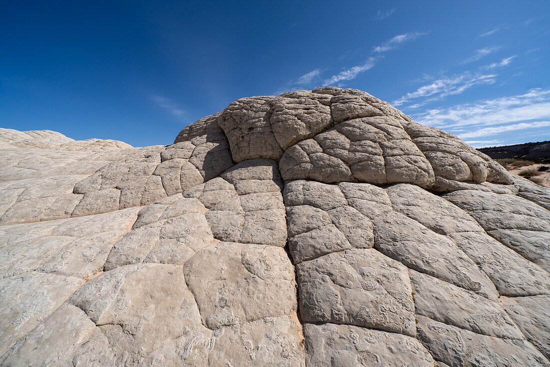 Weißer Pillow Rock oder Brain Rock Sandstein in der White Pocket Recreation Area, Vermilion Cliffs National Monument, Arizona. Eine Form des Navajo-Sandsteins