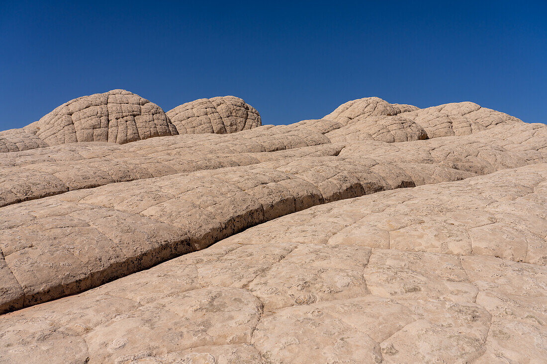 White pillow rock or brain rock sandstone in the White Pocket Recreation Area, Vermilion Cliffs National Monument, Arizona. A form of Navajo sandstone.