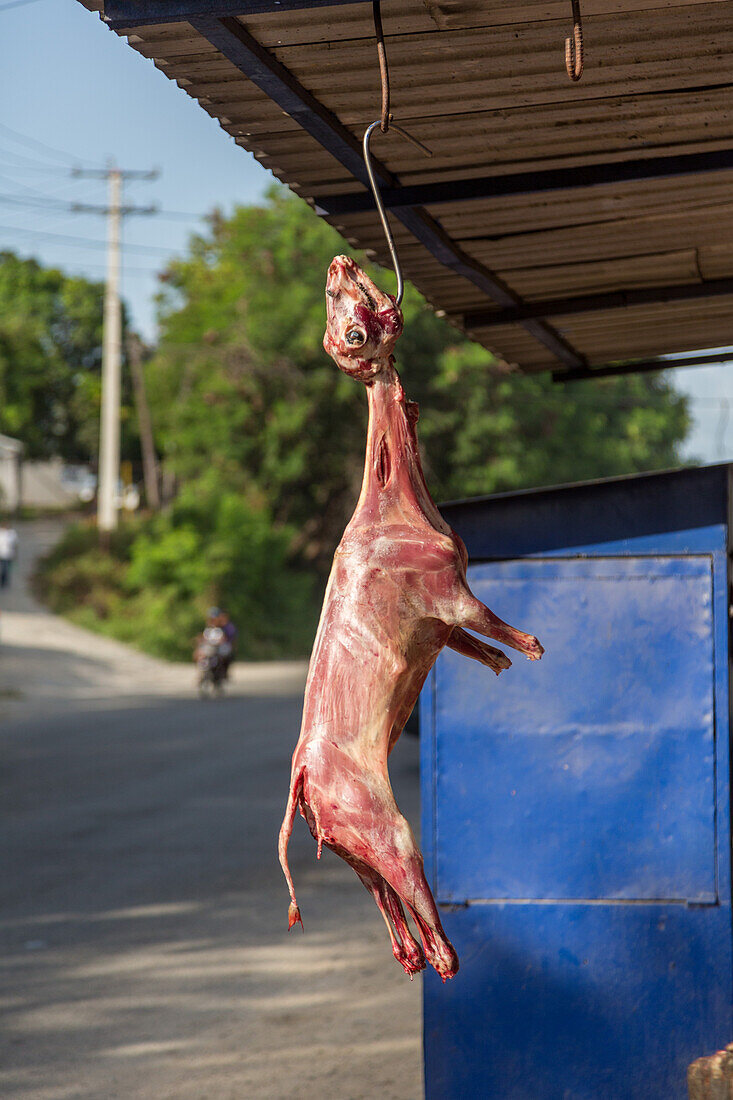 Butchered goat for sale on a roadside in the Dominican Republic. Goat, or chivo, is a very popular dish there.