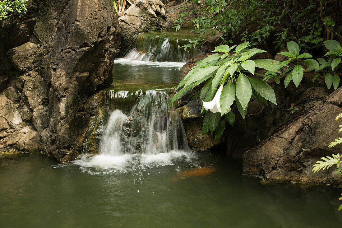 Kaskaden in einem Steingarten in Hongkong, China