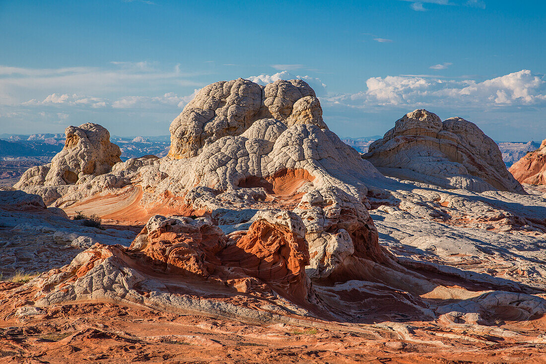 Eroded white pillow rock or brain rock sandstone in the White Pocket Recreation Area, Vermilion Cliffs National Monument, Arizona.