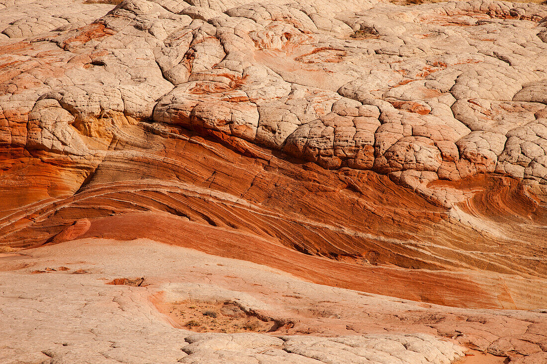 Eroded Navajo sandstone formations in the White Pocket Recreation Area, Vermilion Cliffs National Monument, Arizona. Cross-bedding is shown here.