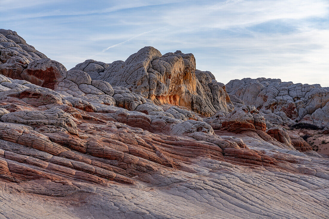 Eroded white pillow rock or brain rock sandstone in the White Pocket Recreation Area, Vermilion Cliffs National Monument, Arizona. Both the red and white are Navajo sandstone but the red has more iron oxide in it.