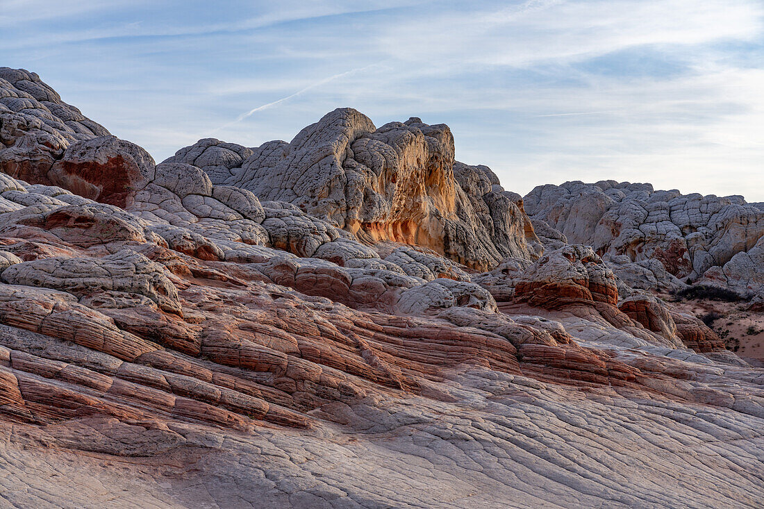 Erodierter weißer Pillow Rock oder Brain Rock Sandstein in der White Pocket Recreation Area, Vermilion Cliffs National Monument, Arizona. Sowohl der rote als auch der weiße Sandstein sind Navajo-Sandstein, aber der rote hat mehr Eisenoxidanteil