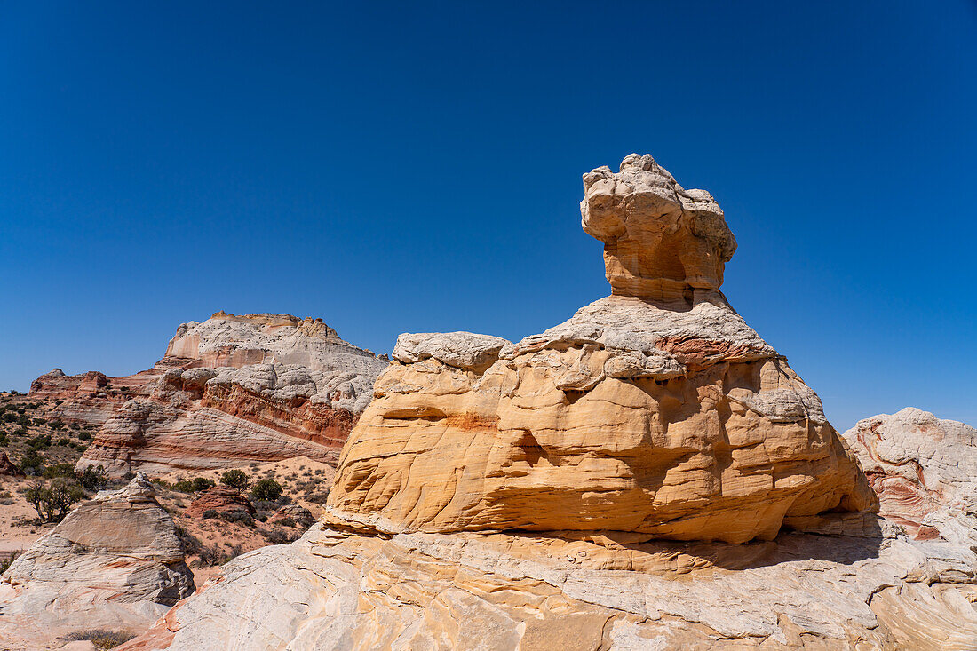 A sandstone hoodoo rock formation in the White Pocket Recreation Area, Vermilion Cliffs National Monument, Arizona.