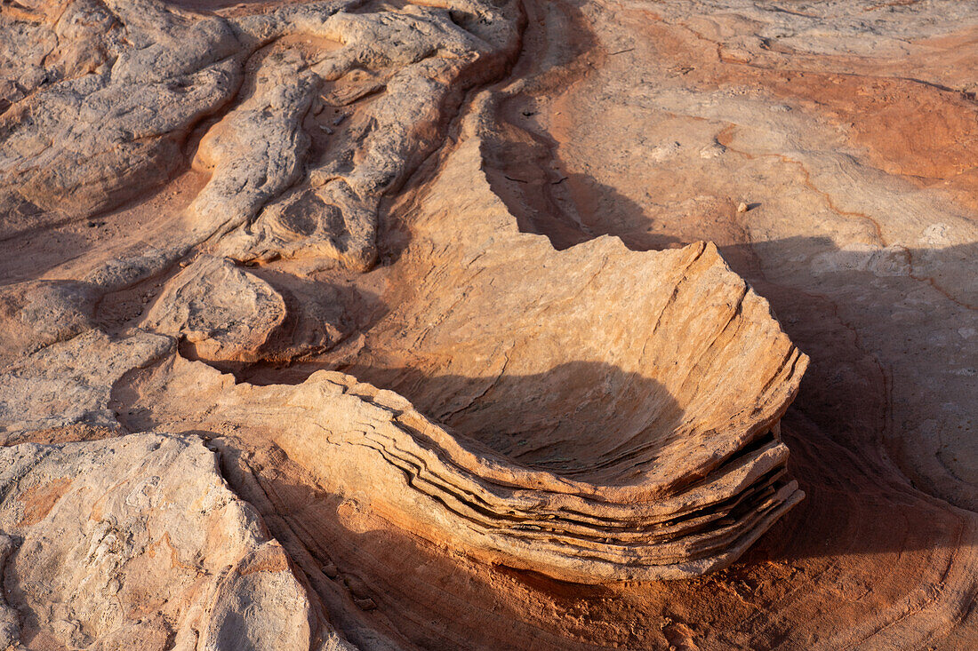 Eroded Navajo sandstone formation in the White Pocket Recreation Area, Vermilion Cliffs National Monument, Arizona.