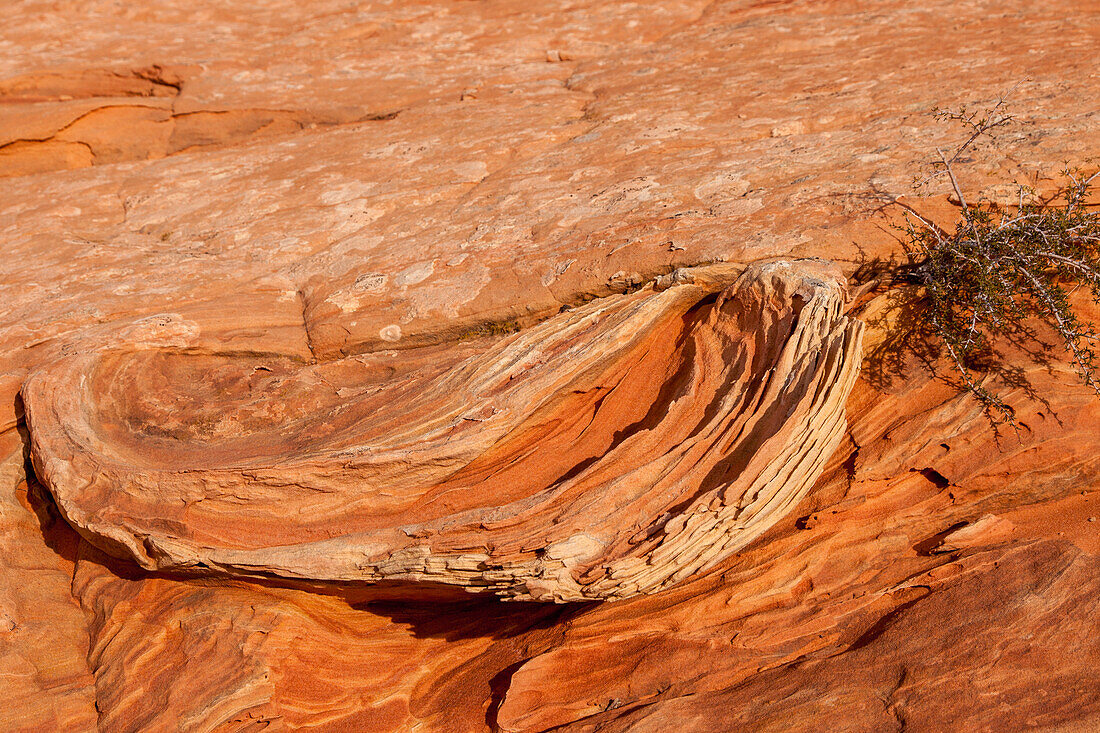 Cross-bedding patterns in the Navajo sandstone in South Coyote Buttes, Vermilion Cliffs National Monument, Arizona. This rock shows plastic deformation.