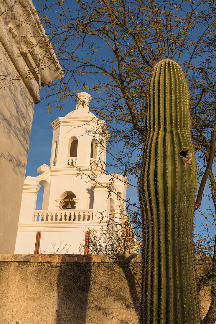 Ein Saguaro-Kaktus mit einer Vogelnisthöhle und der westliche Glockenturm der Mission San Xavier del Bac, Tucson Arizona