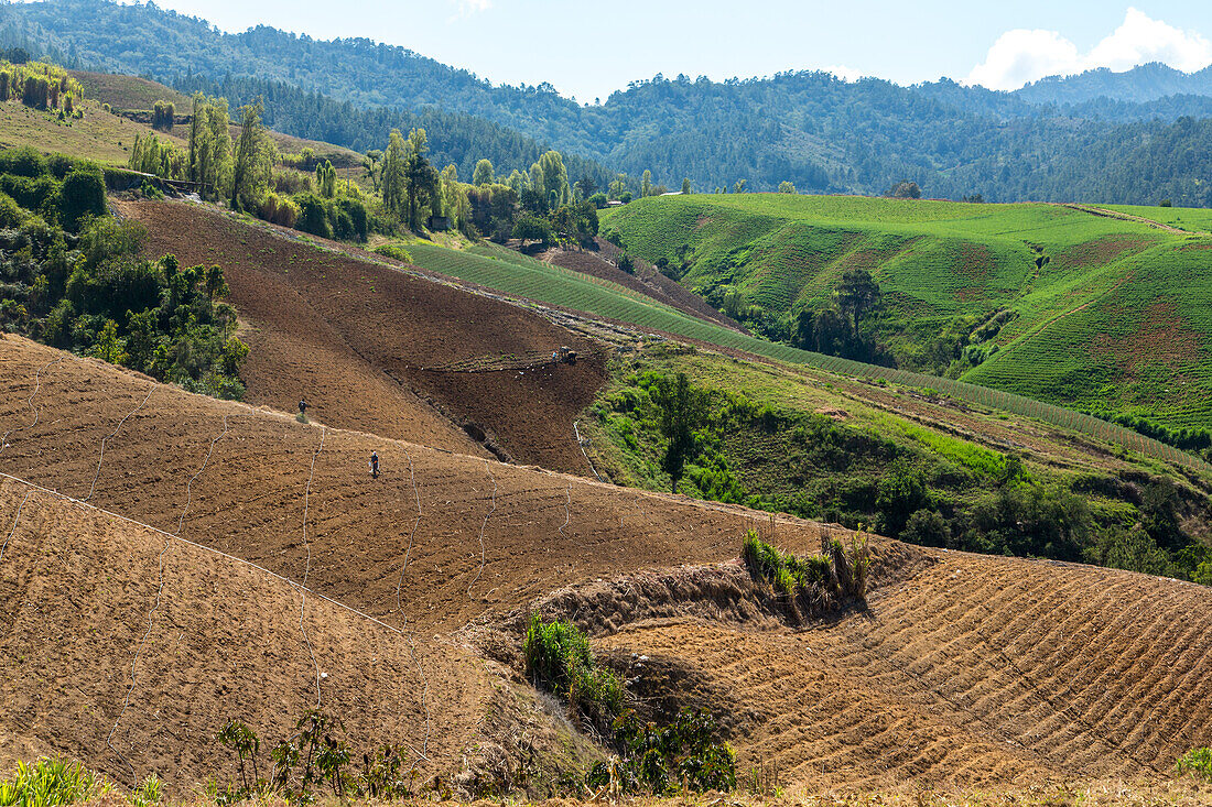 Landwirtschaftliche Nutzflächen in den Hügeln um Constanza in der Dominikanischen Republik. Der größte Teil des Gemüses des Landes wird hier angebaut