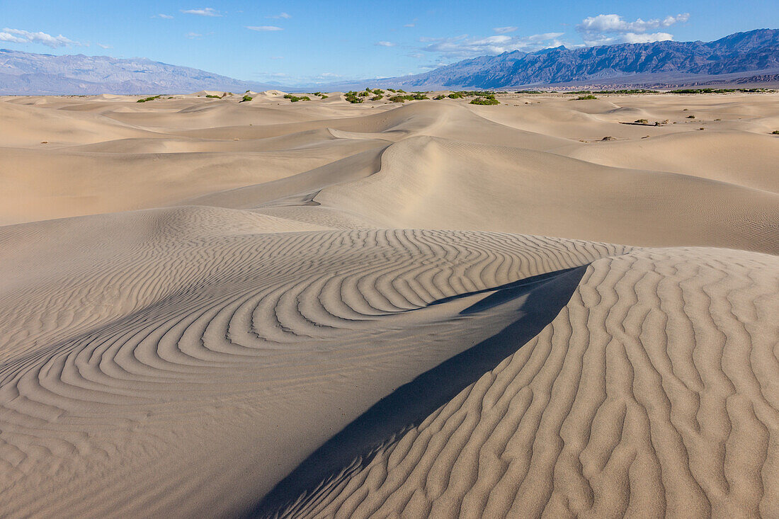 Wellen in den Mesquite Flat Sanddünen im Death Valley National Park in der Mojave-Wüste, Kalifornien. Dahinter die Black Mountains