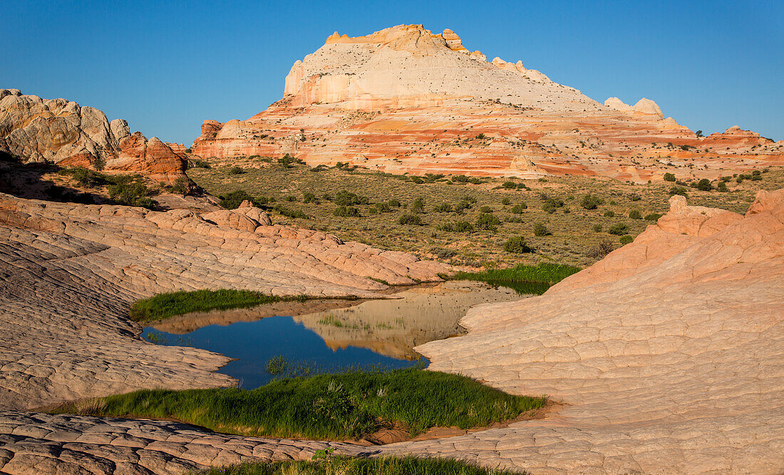 Der Sandsteinmonolith spiegelt sich in einem Pool in der White Pocket Recreation Area, Vermilion Cliffs National Monument, Arizona