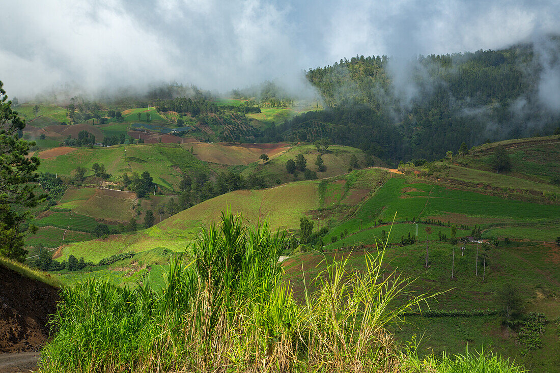 Tiefhängende Wolken über Bauernhöfen in den Hügeln bei Constanza in der Dominikanischen Republik. Ein Wald aus Hispanola-Kiefern liegt dahinter