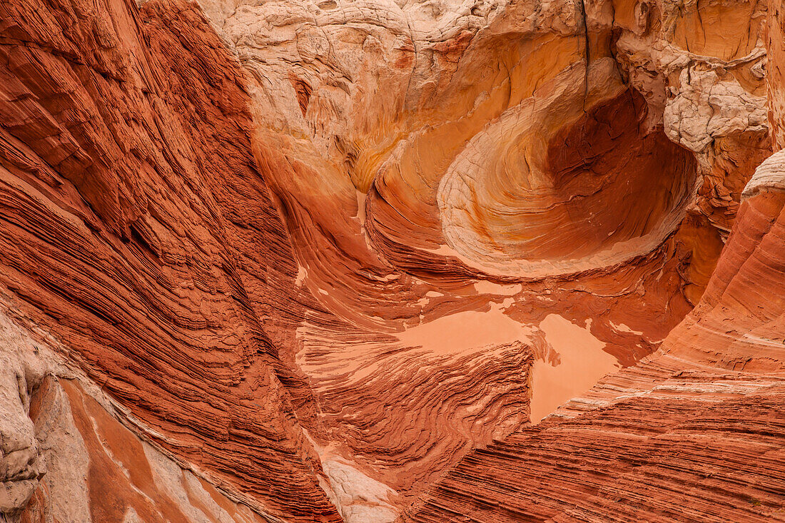 Erodierte Navajo-Sandsteinformationen in der White Pocket Recreation Area, Vermilion Cliffs National Monument, Arizona