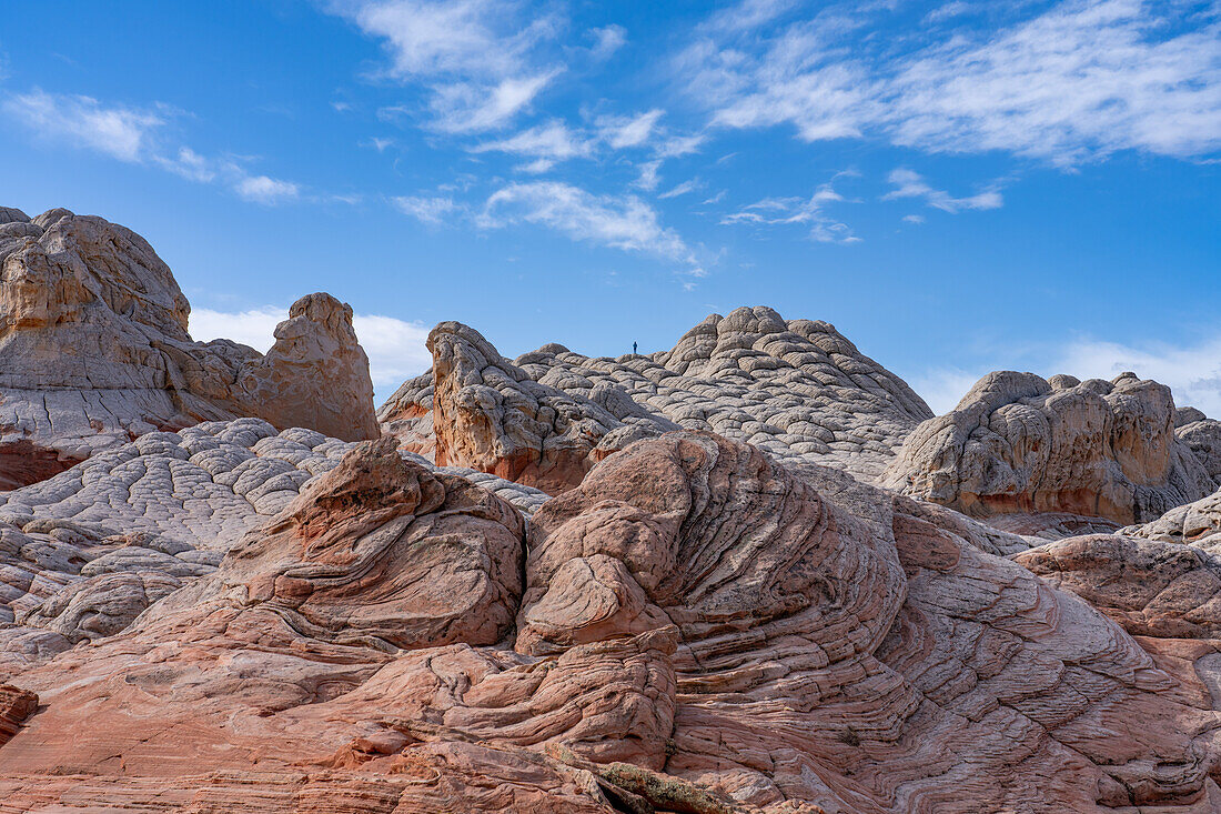 A hiker atop a formation of Navajo sandstone in the White Pocket Recreation Area, Vermilion Cliffs National Monument, Arizona.