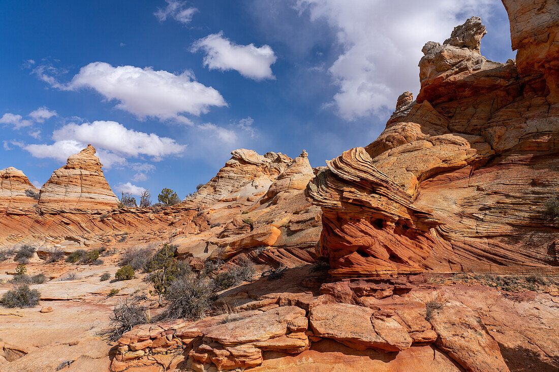 Erodierte Navajo-Sandsteinformationen in der Nähe von South Coyote Buttes, Vermilion Cliffs National Monument, Arizona