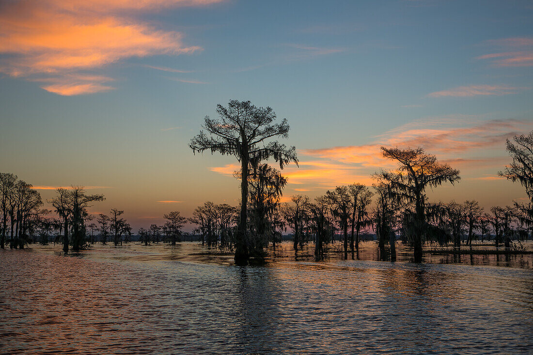 Farbenfroher Himmel bei Sonnenaufgang über Sumpfzypressen in einem See im Atchafalaya-Becken in Louisiana