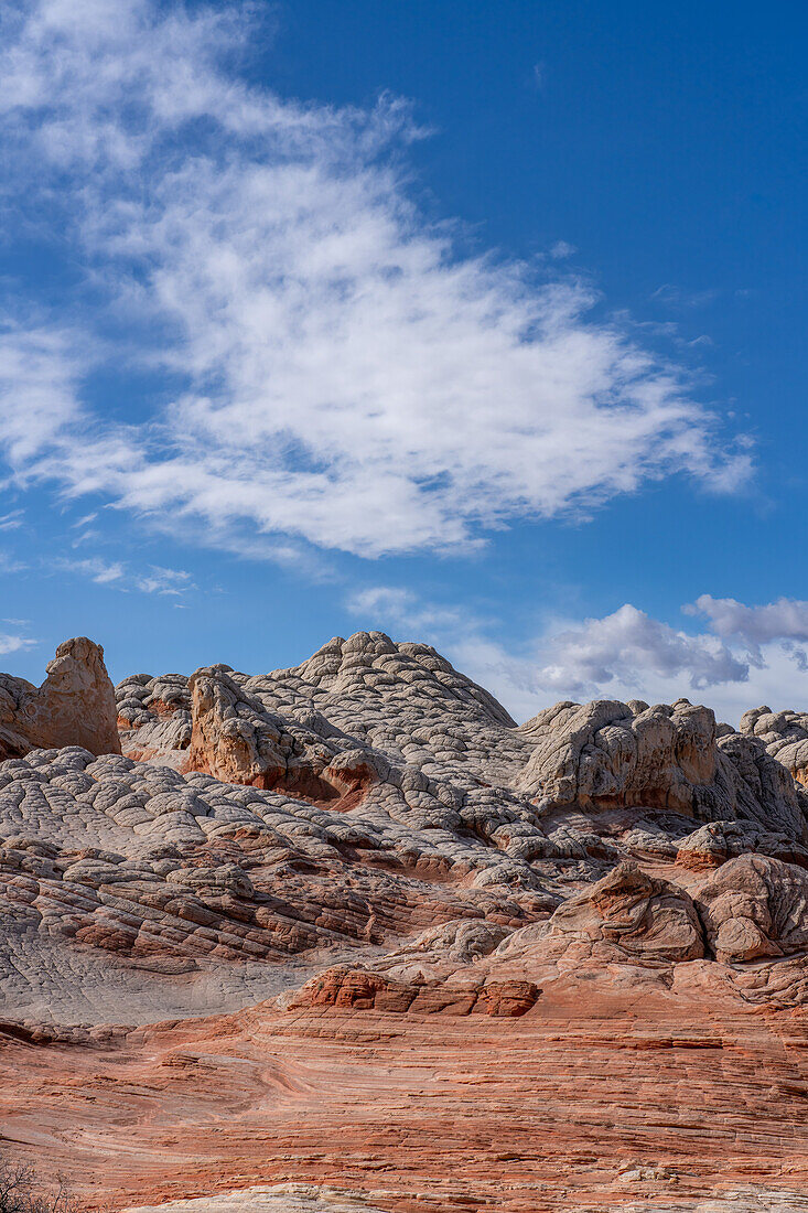 Eroded Navajo sandstone in the White Pocket Recreation Area, Vermilion Cliffs National Monument, Arizona.