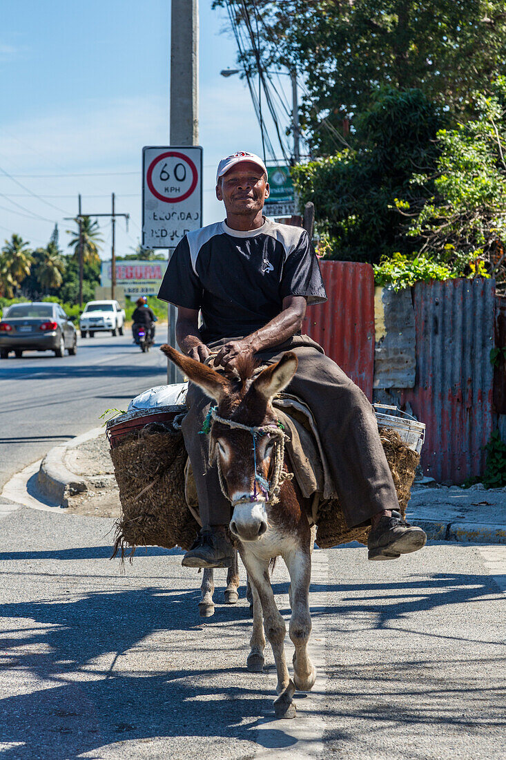A man rides a burro while leading another loaded burro on the road near Bani, Dominican Republic.