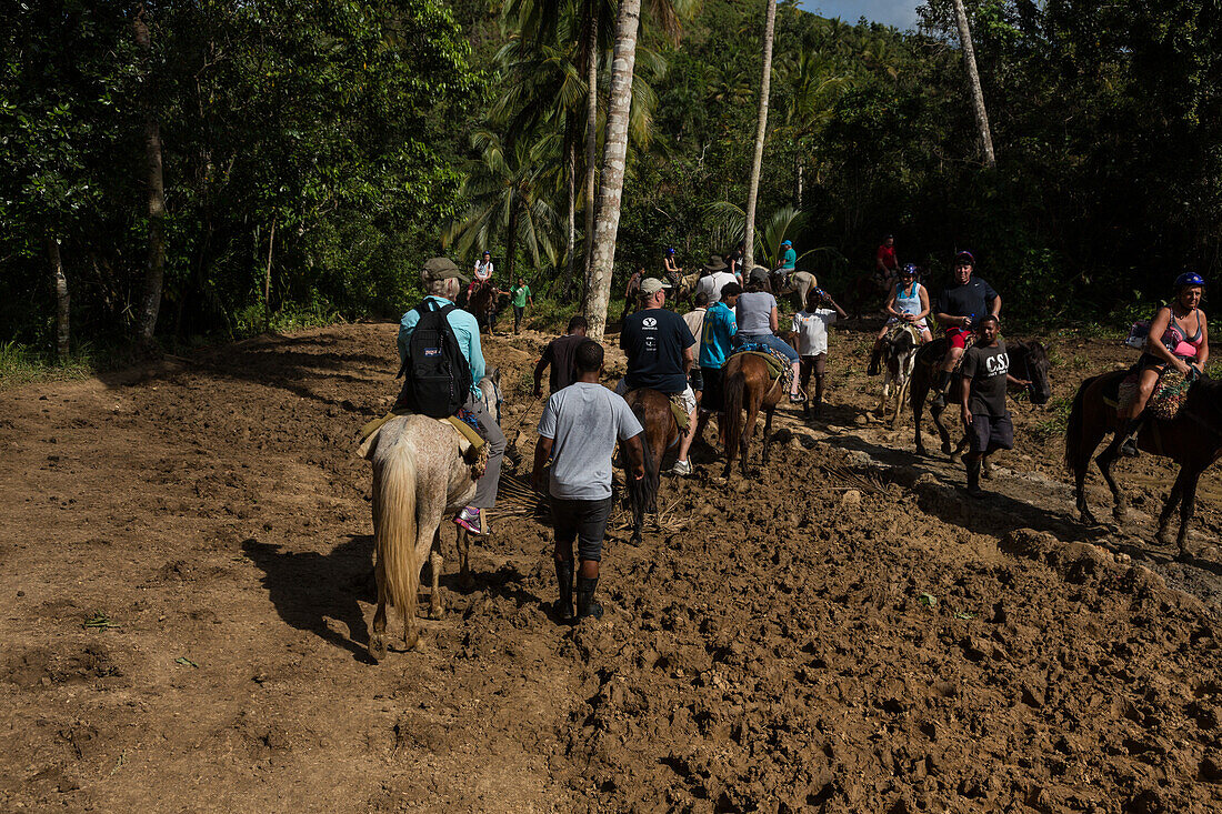 Touristen auf Pferden bei einem Ausritt durch den Regenwald auf der Halbinsel Samana, Dominikanische Republik
