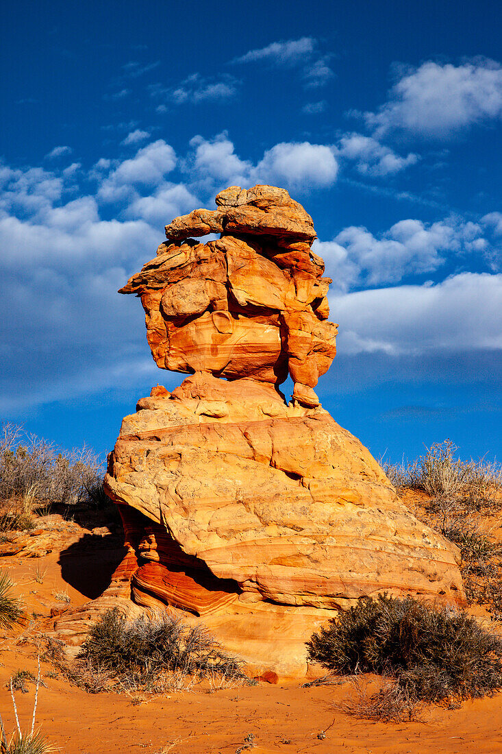 Eroded Navajo sandstone formations in South Coyote Buttes, Vermilion Cliffs National Monument, Arizona.