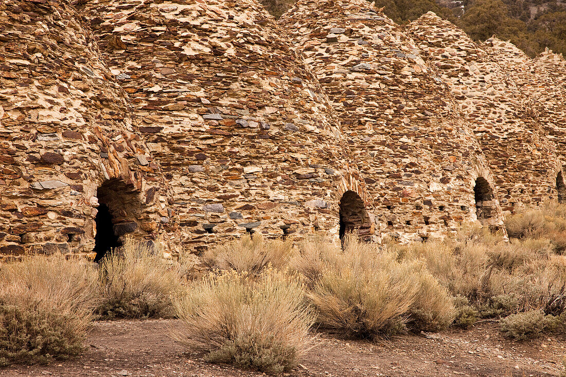 Die Wildrose-Kohleöfen wurden 1877 von einer Bergbaugesellschaft gebaut, um Brennstoff für die nahe gelegenen Blei- und Silberminen zu liefern. Death Valley National Park, Kalifornien