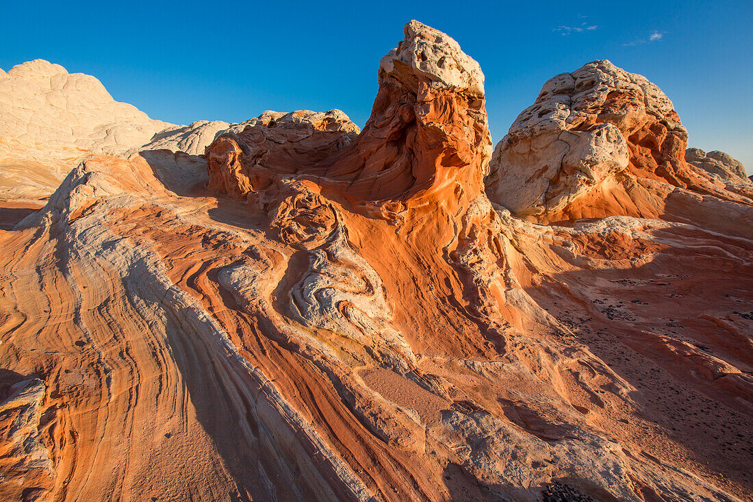 Farbenfrohe erodierte Navajo-Sandsteinformationen in der White Pocket Recreation Area, Vermilion Cliffs National Monument, Arizona