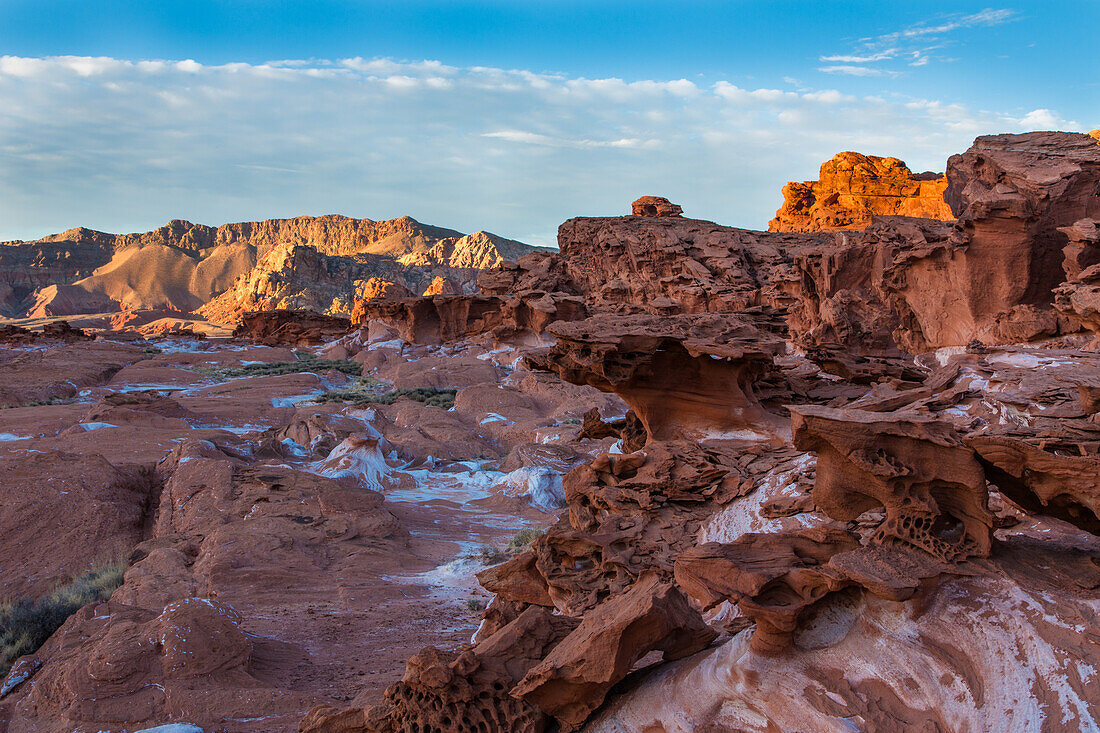 Fragile eroded Aztec sandstone formations at sunset in Little Finland, Gold Butte National Monument, Nevada.