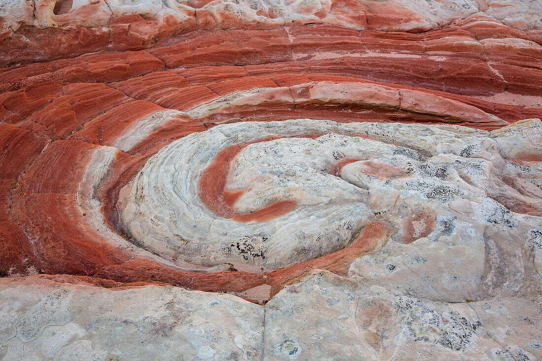 Roter Strudel im erodierten Navajo-Sandstein. White Pocket Recreation Area, Vermilion Cliffs National Monument, Arizona