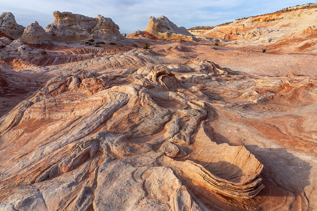 Eroded Navajo sandstone formation in the White Pocket Recreation Area, Vermilion Cliffs National Monument, Arizona. Lollipop Rock is in the background.