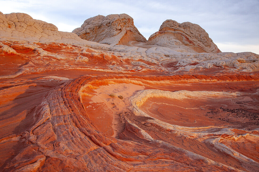 First light on the Dragon's Tail in the White Pocket Recreation Area, Vermilion Cliffs National Monument, Arizona.